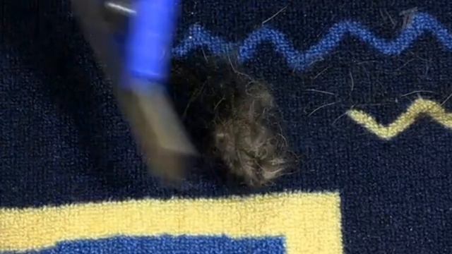 Полезные Советы Как очистить ковёр и мебель от шерсти смотреть онлайн