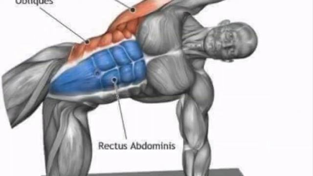 18 stretching exercise before and after training смотреть онлайн