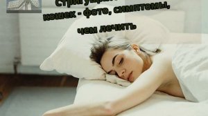 Стригущий лишай у кошек - фото, симптомы, чем лечить