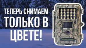 Фотоловушка с LED-подсветкой | Тестируем ScoutGuard SG562-C в лесу