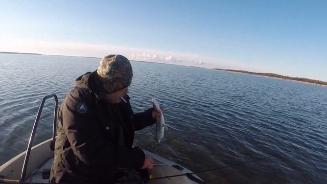 ЛЕТНЯЯ РЫБАЛКА на щуку/ SUVE KALAPÜÜK haug смотреть онлайн