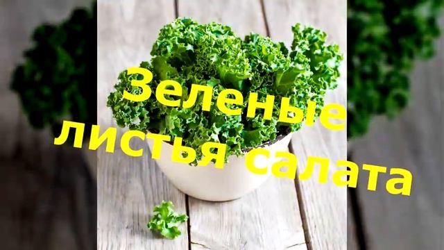 ОСТОРОЖНО — Альцгеймер! ЭТИ продукты  могут сохранят МОЛОДОСТЬ МОЗГА