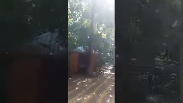 Остановка в придорожном кафе, Грибановский район, Воронежской области. смотреть онлайн