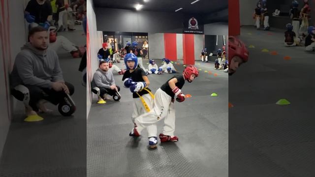 Тренируем желтых. sparring taekwondo Королёв Родион смотреть онлайн
