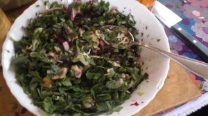 Салат из весенних трав с капустой. Витаминный, полезный  и очень вкусный салат с дикоросами. Рецепт