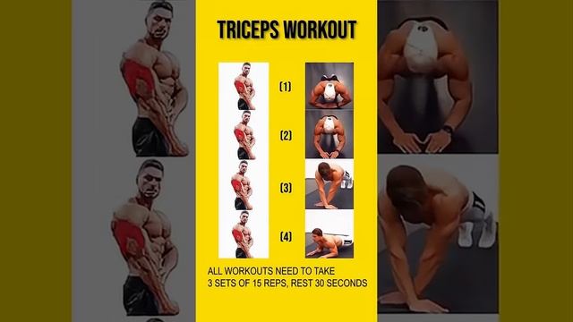 10 Best Tricep Exercises for Bigger Arms - Gym Body Motivation