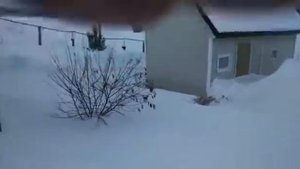 Домик у реки