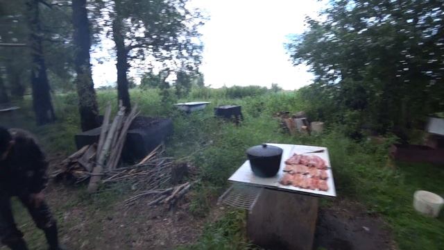 Рыбалка в Нижневартовске 17 июля ... Окунь ...!!!