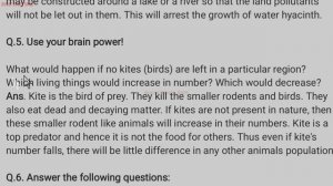 5th Std - Evs 1 - Chapter 18 Environment and Us questions answers exercise - Maharashtra board