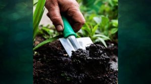 "Почвы России", Окружающий мир 4 класс ч.2, с.37-39, Школа XXI век.