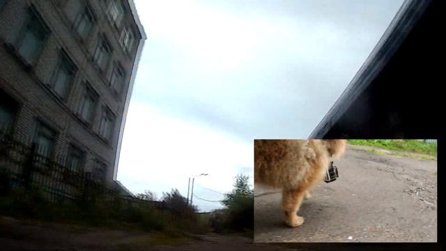 ЭКШЕН КАМЕРА SOCAM V9 4K UltraHD ПОЛНЫЙ КОМПЛЕКТ 16MP HDMI Wi-FI Waterproof 30M 1050 mA/h Рыбий гла смотреть онлайн