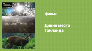 Дикие места Таиланда 1 серия «Охотничьи игры» (документальный сериал, 2019)