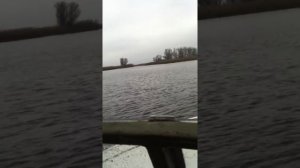 прогресс 4 ямаха 50 2-х тактный 3- целиндра
