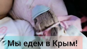 Едем на море с Басиками🤗✨Почему мне сложно ехать на море с маленьким Басиком?