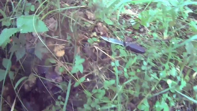 По секретным грибным местам смотреть онлайн