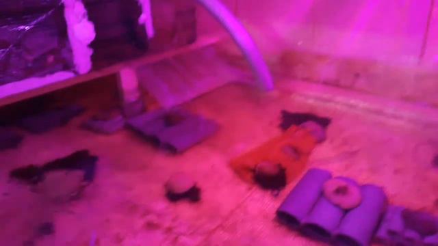 Домашнее УЗВ для АККРа, доработки. смотреть онлайн