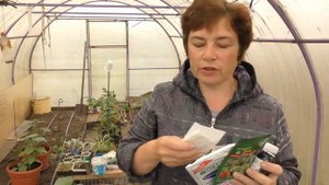 Лучший сидерат для посева в теплицу ,  защитим  от сорняков и болезней.