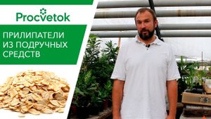 ТОП-8 народных ПРИЛИПАТЕЛЕЙ для внекорневой обработки растений. Обзор.