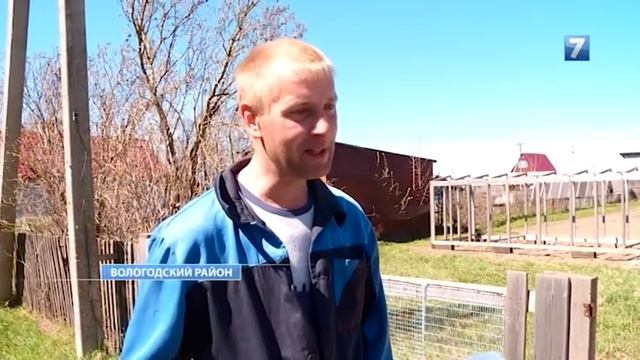 Строительная компания лишила вологжан места отдыха на реке Тошня смотреть онлайн