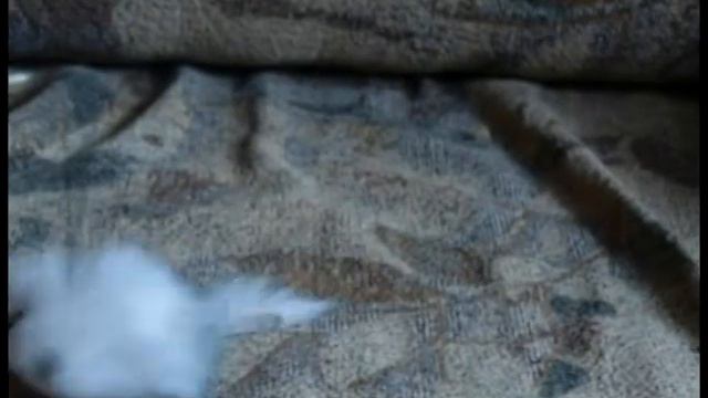 Забава_2.mpg смотреть онлайн