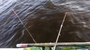 РЫБАЛКА НА ВОЛГЕ, 24 СЕНТЯБРЯ, ТРОЛЛИНГ,