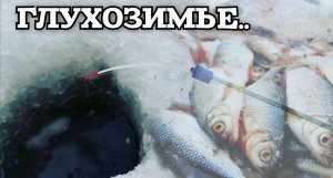 Ловля плотвы на мормышку! Глухозимье.  #плотва #мормышка #рыбалкансо