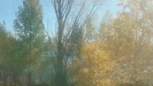 По БАМу сутки в поезде от Новой Чары до Братска Байкало-Амурская магистраль 18.09.2022