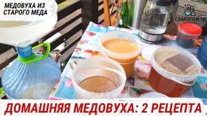 ДОМАШНЯЯ МЕДОВУХА  Два рецепта и пошаговая технология приготовления на диких и культурных дрожжах