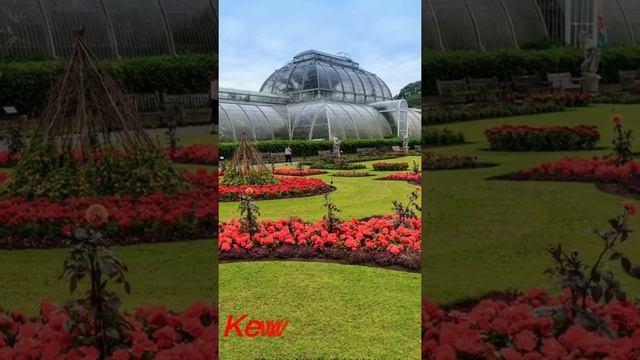 Things to do in London |London eye river cruise |Kew gardens #shorts #untravelledduniya