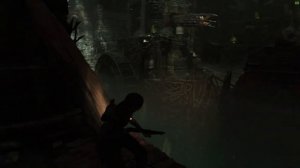 Shadow of the Tomb Raider №15 ◆ Сенот ◆ Выход из гробницы. Пещерные монстры и их МАТЬ. И где ларец?