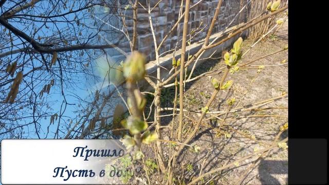 Поздравляю с Вербным воскресеньем! смотреть онлайн