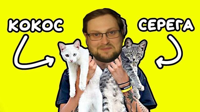 Holy Baam - Песня про котят (Серега и Кокос) Kuplinov смотреть онлайн