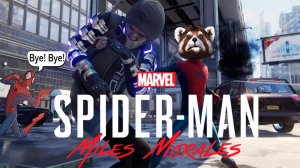 НОСОРОГ АТАКУЕТ! НОВЫЙ КОСТЮМ, ВСТРЕЧА С БРОДЯГОЙ! РОККИ ИГРАЕТ: SPIDER MAN MILES MORALES! СБОРНИК!