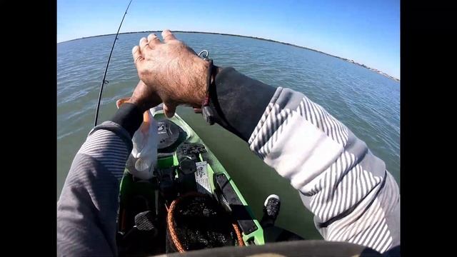 Trophy Trout & New PB!! смотреть онлайн