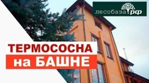 Термососна на фасаде башни _ Лесобаза.РФ