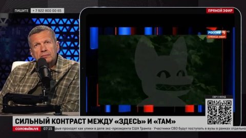 Соловьёв: Собчак сравнила мой ролик с обращениями нацистов к советским солдатам