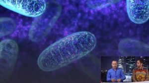 Дэвид Вердези  Как удвоить свою энергию