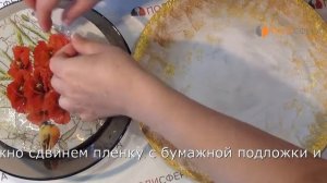 Декорирование тарелки с помощью переводной декупажной карты