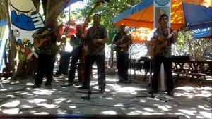 Анимация на Кубе. Отель Бризас дэль  Карибэ. Музыканты выступают в beach bar.