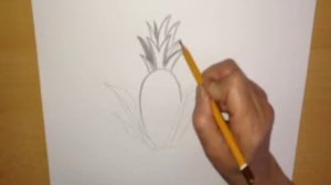 Как нарисовать, ананас, как рисовать карандашом, Art drawings, ananas, pencil drawings