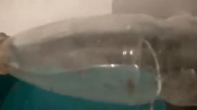 Лайфхак мышеловка из бутылки смотреть онлайн