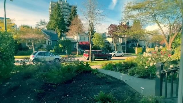 Мысли, чувства и ваше совместное будущее? На интересующего Вас человека. Выйдет ли на связь? #колен смотреть онлайн