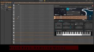 Musiclab Realstrat 5: Basic Strumming
