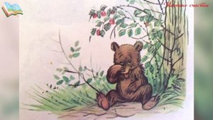 Лесной Плакунчик  Т.  Белозёров