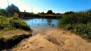 Городской пруд в городе лиски воронежской области