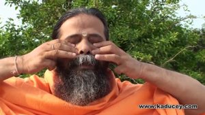 Техники Крия йоги - Джоти мудра