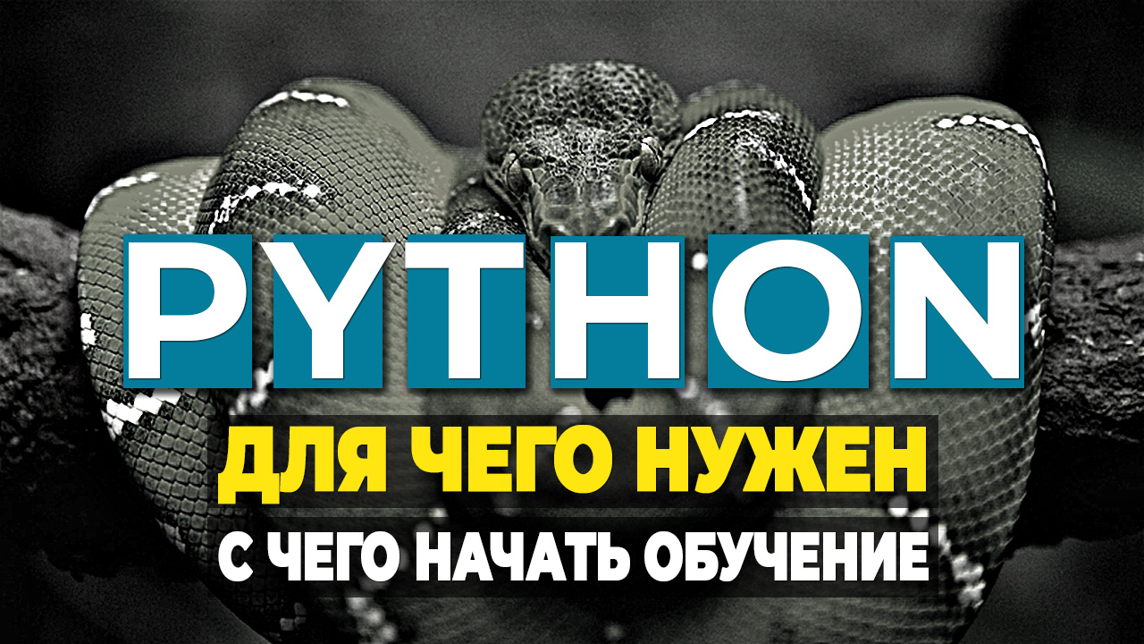 Для чего нужен Python и как лучше выучить этот язык