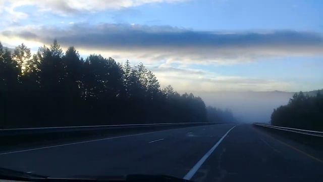 #туман #тайга #25082022 #перегонавтоизвладивостока