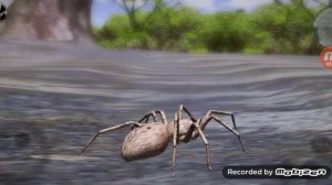 Обзор на игру ultimate spider simulator 2.