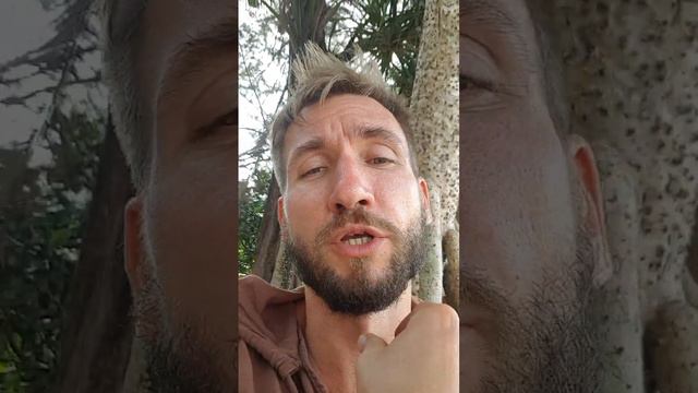 Опыт жизни без зависимости. Почему это важно?